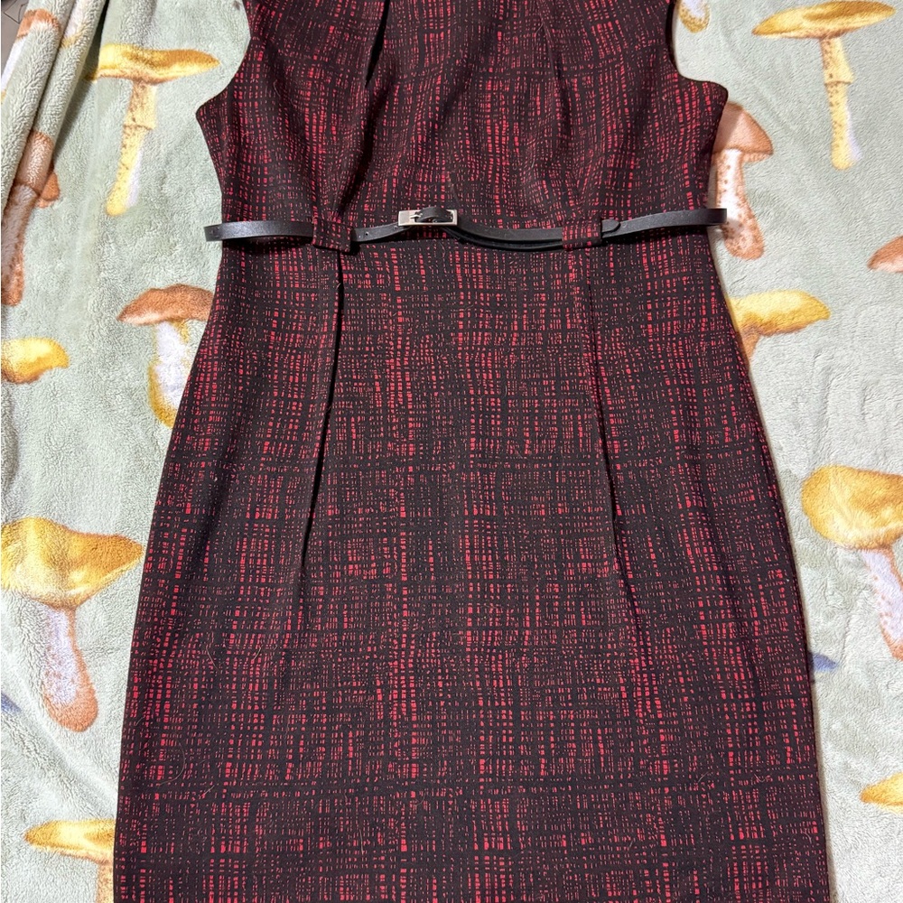 Elegant Black and Red Calvin Klein Dress